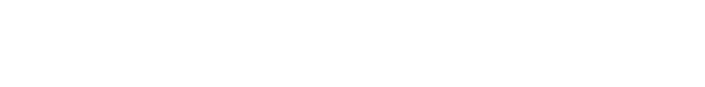 Logo Clever Spider